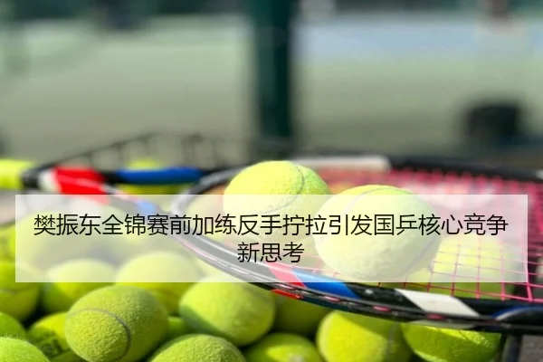 樊振东全锦赛前加练反手拧拉引发国乒核心竞争新思考